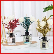 REED DIFFUSER LOVER'S GRASS REED DIFFUSER REFILL REED DIFFUSER HAMPERS PENGHARUM RUANG AROMATERAPI