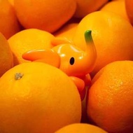 Unbox Citrus Orange Elfie