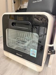 Rasonic 迷你洗碗機