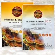 The odbo Phellinus Linteus Facial Essence Mask