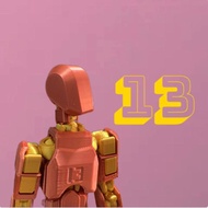 Dummy 13 3D printed fighting man model