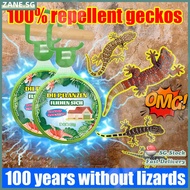 ✨SG stock✨Gecko repellent Plant extraction Lizard repellent Gecko killer Gecko trap Lizard trap box 