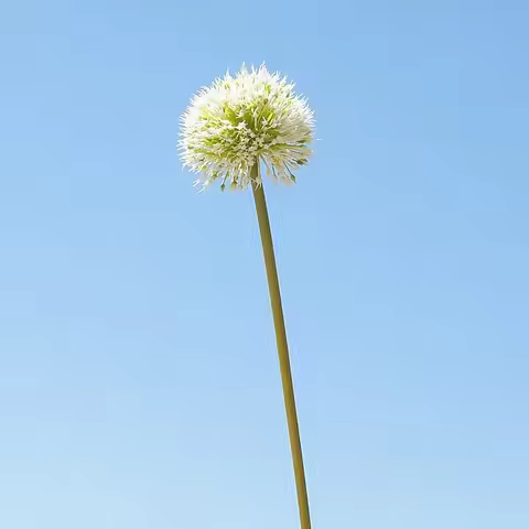 49cm Artificial Onion Balls Branches Plastic Fake Flowers Auditorium Decor Simulation Chrysanthemum 