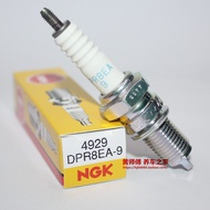 NGK Spark Plug DPR8EA-9 D8tc Dr8ea D8ea A8yc 2179 D8rtc Tibetan Mastiff Horizon