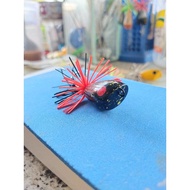 UMPAN CASTING HANDMADE (JUMPFROG & CICAK)