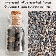 Black Rice Cooker Or Stone In A Bottle (4 Grams Of Weight Size: 5-10 Mm)