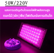 Full Spectrum ไฟเลี้ยงต้นไม้LED220V LED Grow Light50Wแสงการเจริญเติบโตของการปลุกต้นไม้ ไฟช่วยต้นไม้ตัวเร็ว