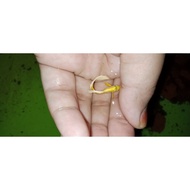 Ikan Guppy Hidup Betina & Jantan | Live Guppy Fish