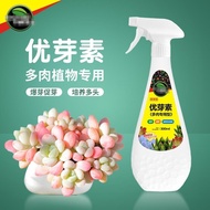 Eubudsu Succulent Special Purpose Promoting Germination Succulent Special Promoting Germination Split Leaf Flower Arrangement Plant Succulent Bermination Universal Nutrient Solution✨0309✨