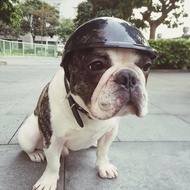 Pet Helmet Helmet Cat Dog Headwear Pet Toy Hat Sun Lens Helmet Cover Pet Helmet Helmet Cat Dog Headw