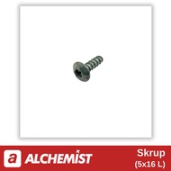 Universal 5x16 Motorcycle Screw L Bolts for All Brands Universal 5x16 Automatic Motorcycle Screw L B