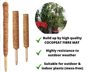 Cocopeat Block Media For Vegetable and Flowers Aacc229