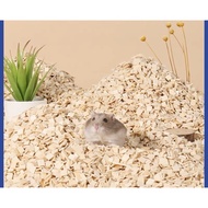 Hamster, rabbit, parrot. Premier Supersoft Bedding & Litter.