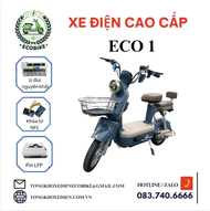 Xe Điện 2 Bánh Eco 1 Chạy Pin Lithium Động Cơ 800W Tải Trọng 200kg