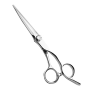 AOLANDUO 6 Inch Sword Blade Hair Scissors/Barber Scissors-High End Japanese AICHI Steel Handmade Hai