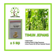 4 Japanese Cucumber Seeds, Superior Quality Japanese Cucumber Seeds, Japanese Cucumber Seeds, Vegeta