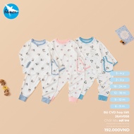 CVD pattern set 26AV058