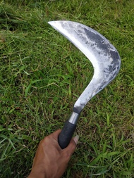 arit sabit asli baja per bilah halus pinising maksimal Arit alat pertanian Pemangkasan Pada Rumput