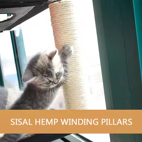 Cat Window Perch Hammock Bed Double Deck Window Suction Cups Seat Cat Shelves Sunbath Hammock Bed fo