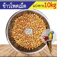 [ชนิดแบ่งขาย 10กก]  ข้าวโพดเม็ด_สำหรับสัตว์เลี้ยง นก ไก่