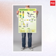 A1 Presentation Poster A2 Poster Printing (Matt Coated Paper ) Print for Final Presentation / Board 