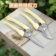 [Dongma Shop] Betel Nut Scissors 17cm Flower Scissors Tree Scissors Fruit Tree Scissors Betel Nut Xi
