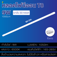 (30หลอด)หลอดไฟLED T8 ขั้วสีทอง ซุปเปอร์ไบรท์ 20W 36W ขั้วสีขาว ความสว่างปกติ 9W18W หลอดไฟสั้น 60cm.