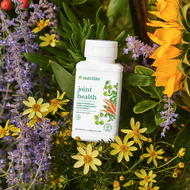 Nutrilite™ Joint Health - 30 Day Supply