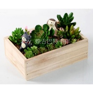 zakka Pine Storage Box