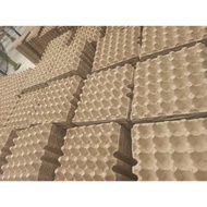 Paper egg tray (set of 5c)