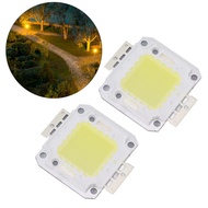 kissdumbo-SG Ailgely 100W LED Chip COB Integrated Light Source 9600LM 6000K White for Casting 32-36V
