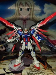 RG 命運高達