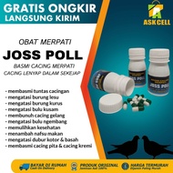 Basmi Cacing Joss Poll Obat Merpati Cacingan Ampuh mengatasi merpati cacingan