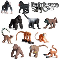 RAINBOW 6PCS Lifelike Monkey Model Gift Early Learning Educational Toys Simulation Gibbon Cubs