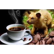 1Kg Musang Civet Alamid Coffee or Kopi Luwak Keto-Friendly