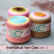 Gradient Color Knitting Yarn 5 Strands Of Noodles Weight 400g Set Of 3 (YC519-Yc257)