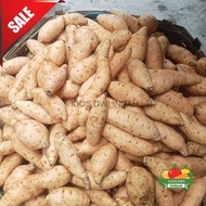 Ubi Mentah Cilembu Fresh 1 KG Murah