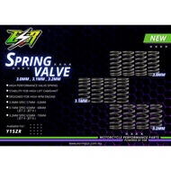 ESR MOTOR RACING VALVE SPRING & SEAT VALVE SPRING