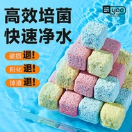 Yee Probiotics House Fish Tank Water Purification Nitrifying Bacteria House Quartz Ball Culture Bact