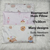 Beansprout Husk Pillow in 17x30cm