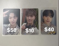 SEVENTEEN 小卡 Dino 小卡