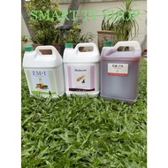 EM1 (5 litre) + Molasses (5 litre) + EMPB (5 litre)
