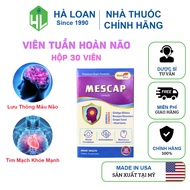 MESCAP Vista USA Brain Supplement - Minh Man, Brain Blood Circulation, Stroke Prevention (Box of 30 