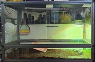 玻璃爬蟲箱 tc缸 90*45*60