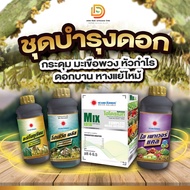 #ชุดบำรุงดอก #ดวงตะวันเพชร ระยะกระดุม มะเขือพวง หัวกำไร ดอกบาน หางแย้ไหม้ ( อะมิโนทุเรียน+โปรซีวีดพล