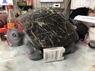 埔里黑石膽 大師雕刻 福氣龜 平安龜 招財龜 重約20-30公斤