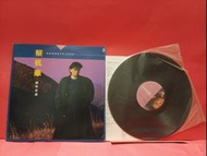 蔡楓華 ☘️ 絕對空虛 ☘️ 黑膠唱片 ☘️ 海報 ☘️☘️☘️☘️☘️