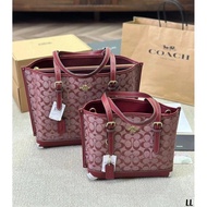 C Family Chan Bray mollie Tote Bag Side Backpack Shoulder Bag CH228 CH227
