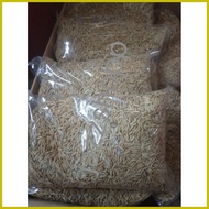 ✁ ✹ ☂ Binhi Palay Seeds/Rice Variety  222 & 436 BINHI Malakas umani Certified Seeds new harvest 1ki