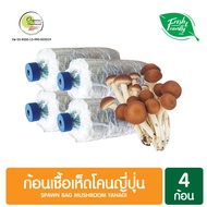 ก้อนเชื้อเห็ดโคนญี่ปุ่น แพ็ค 4 ก้อน Spawn Bag Mushroom Yanagi